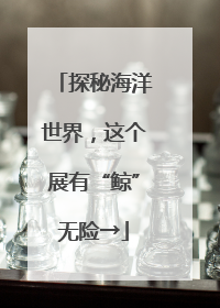 探秘海洋世界，这个展有“鲸”无险→
