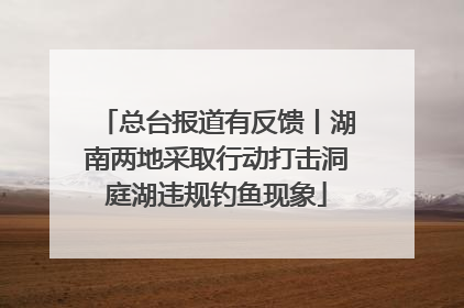 总台报道有反馈丨湖南两地采取行动打击洞庭湖违规钓鱼现象