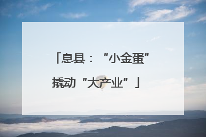 息县：“小金蛋”撬动“大产业”