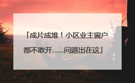 成片成堆！小区业主窗户都不敢开……问题出在这