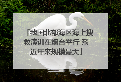 我国北部海区海上搜救演训在烟台举行 系近年来规模最大