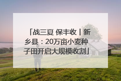 战三夏 保丰收丨新乡县：20万亩小麦种子田开启大规模收割