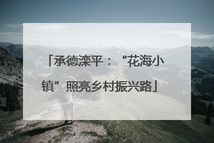 承德滦平：“花海小镇”照亮乡村振兴路