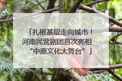 扎根基层走向城市！河南民营剧团首次亮相“中原文化大舞台”