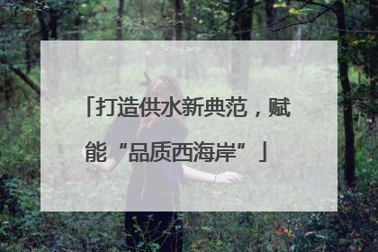 打造供水新典范，赋能“品质西海岸”