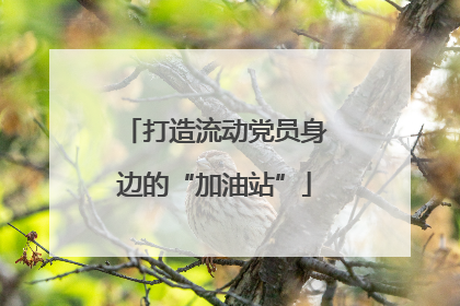 打造流动党员身边的“加油站”