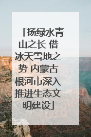 扬绿水青山之长 借冰天雪地之势 内蒙古根河市深入推进生态文明建设