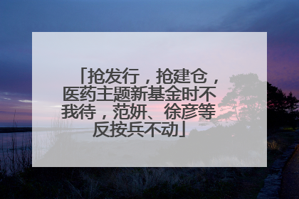 抢发行，抢建仓，医药主题新基金时不我待，范妍、徐彦等反按兵不动