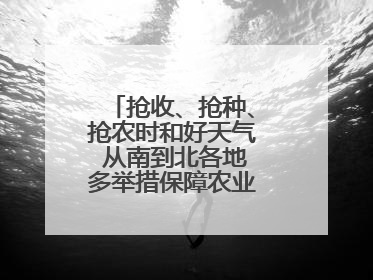 抢收、抢种、抢农时和好天气 从南到北各地多举措保障农业生产顺利进行