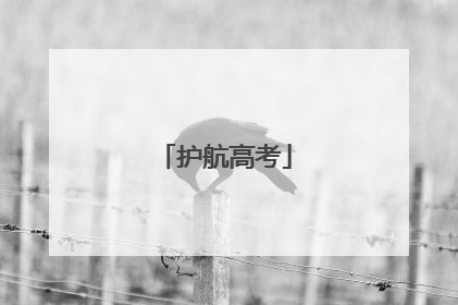 护航高考