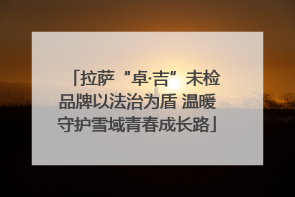 拉萨“卓·吉”未检品牌以法治为盾 温暖守护雪域青春成长路