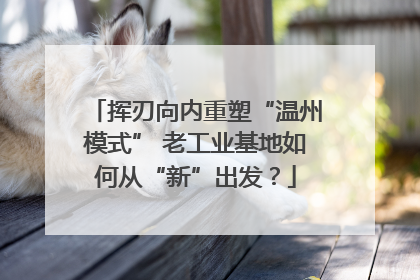 挥刃向内重塑“温州模式” 老工业基地如何从“新”出发？