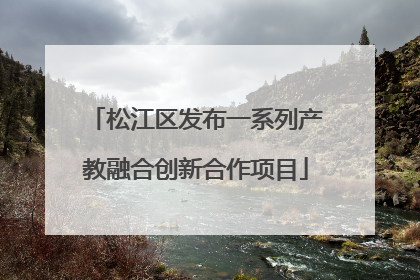 松江区发布一系列产教融合创新合作项目