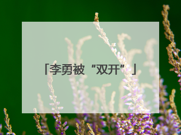 李勇被“双开”