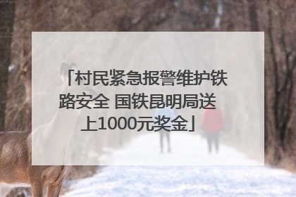 村民紧急报警维护铁路安全 国铁昆明局送上1000元奖金