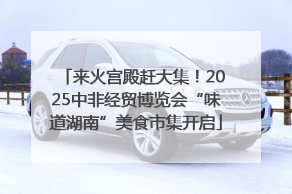 来火宫殿赶大集！2025中非经贸博览会“味道湖南”美食市集开启