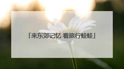 来东郊记忆 看旅行蛙蛙