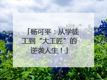 杨可平：从学徒工到“大工匠”的逆袭人生！