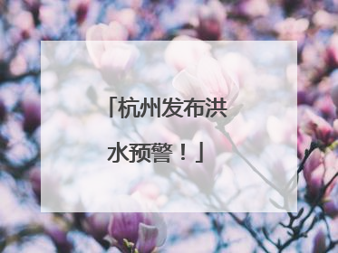 杭州发布洪水预警！