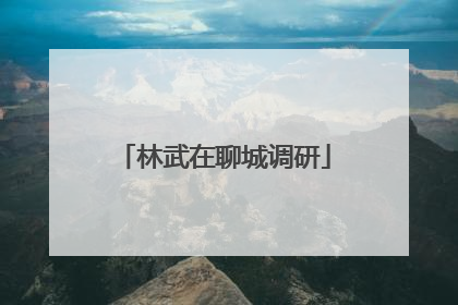 林武在聊城调研
