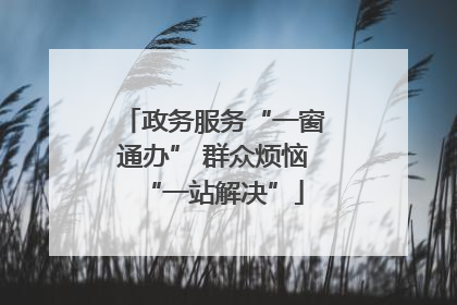 政务服务“一窗通办” 群众烦恼“一站解决”