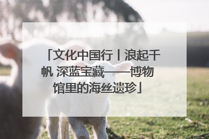 文化中国行丨浪起千帆 深蓝宝藏——博物馆里的海丝遗珍