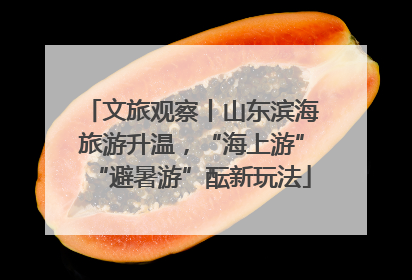 文旅观察丨山东滨海旅游升温，“海上游”“避暑游”酝新玩法