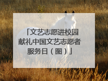 文艺志愿进校园 献礼中国文艺志愿者服务日（图）