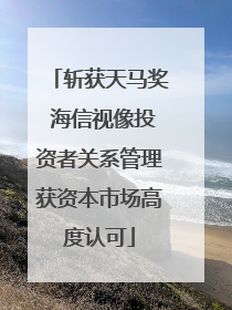 斩获天马奖 海信视像投资者关系管理获资本市场高度认可