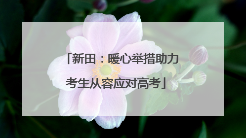 新田：暖心举措助力考生从容应对高考