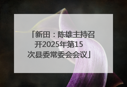 新田：陈雄主持召开2025年第15次县委常委会会议
