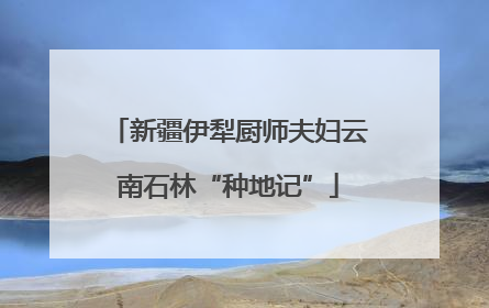 新疆伊犁厨师夫妇云南石林“种地记”