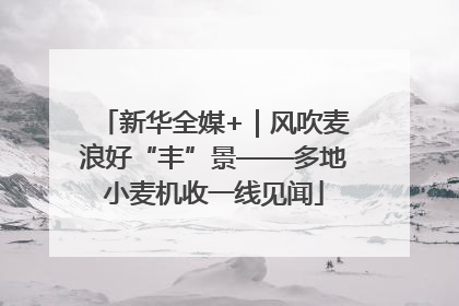 新华全媒+｜风吹麦浪好“丰”景——多地小麦机收一线见闻