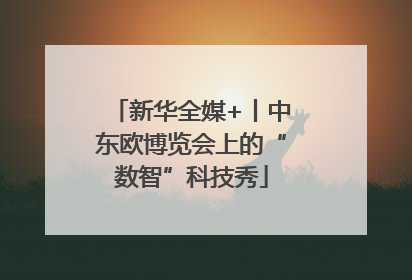 新华全媒+丨中东欧博览会上的“数智”科技秀