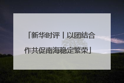 新华时评丨以团结合作共促南海稳定繁荣