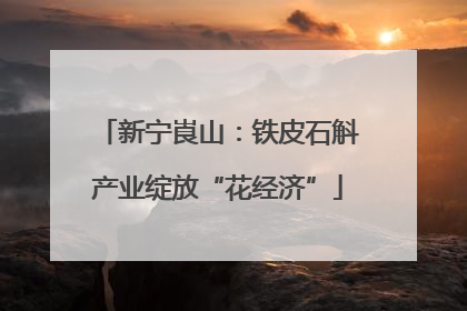 新宁崀山：铁皮石斛产业绽放“花经济”