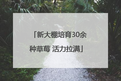 新大棚培育30余种草莓 活力拉满