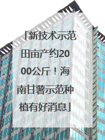 新技术示范田亩产约2000公斤！海南甘薯示范种植有好消息