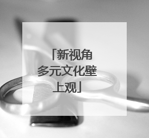 新视角 多元文化壁上观