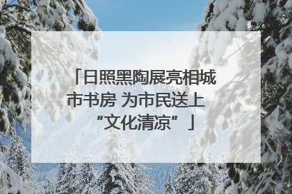 日照黑陶展亮相城市书房 为市民送上“文化清凉”