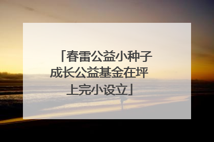 春雷公益小种子成长公益基金在坪上完小设立