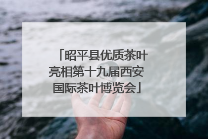 昭平县优质茶叶亮相第十九届西安国际茶叶博览会