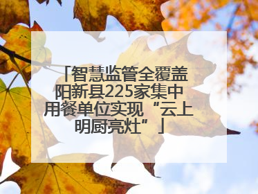 智慧监管全覆盖 阳新县225家集中用餐单位实现“云上明厨亮灶”