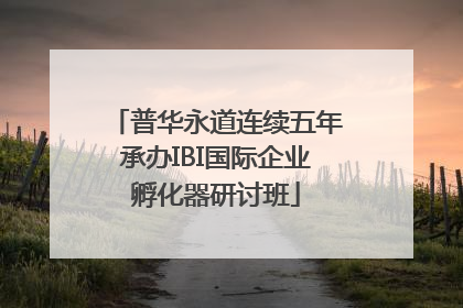 普华永道连续五年承办IBI国际企业孵化器研讨班