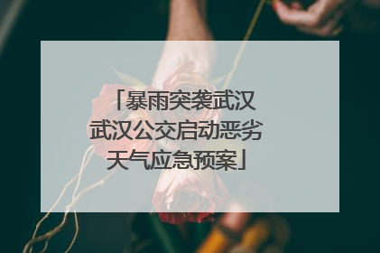 暴雨突袭武汉 武汉公交启动恶劣天气应急预案
