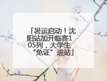 暑运启动！沈阳站加开临客105列，大学生“免证”进站