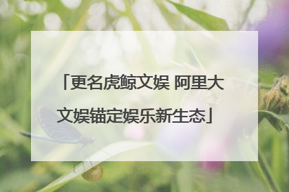 更名虎鲸文娱 阿里大文娱锚定娱乐新生态