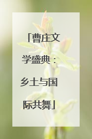 曹庄文学盛典：乡土与国际共舞