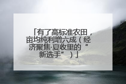 有了高标准农田，亩均纯利增六成（经济聚焦·夏收里的“新选手”）