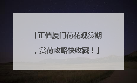 正值厦门荷花观赏期，赏荷攻略快收藏！
